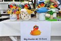 Enten   003